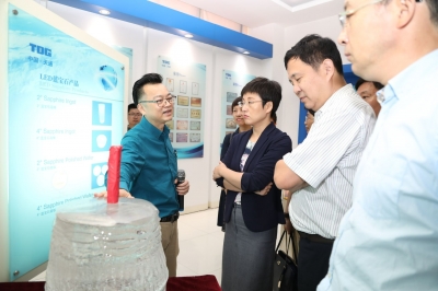 2018年8月1日上海浦东新区区委常委统战部长金梅调研3118云顶集团