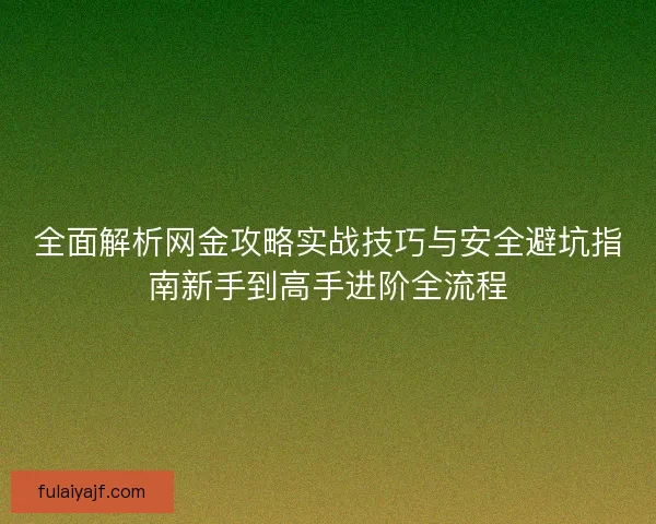 全面解析网金攻略实战技巧与安全避坑指南新手到高手进阶全流程